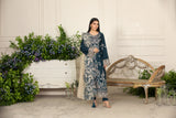 EF-42 HEERA'S 3 PC READY TO WEAR VISCOSE DRESS